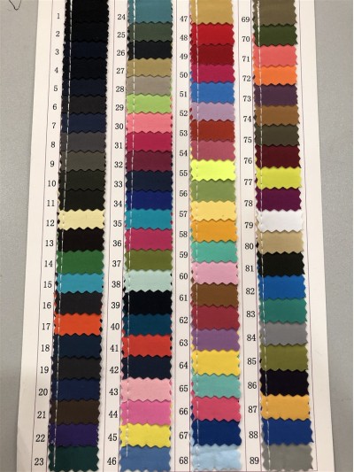 GZ-JNHE 1227 尼龍面料  背囊/雨衣面料  正面照